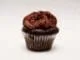 Cupcake sans levure