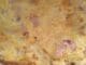 Omelette aux lardons et au fromage
