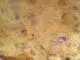 Omelette aux lardons et au fromage